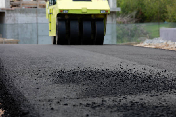 Best Residential Paver Driveway  in Floydada, TX